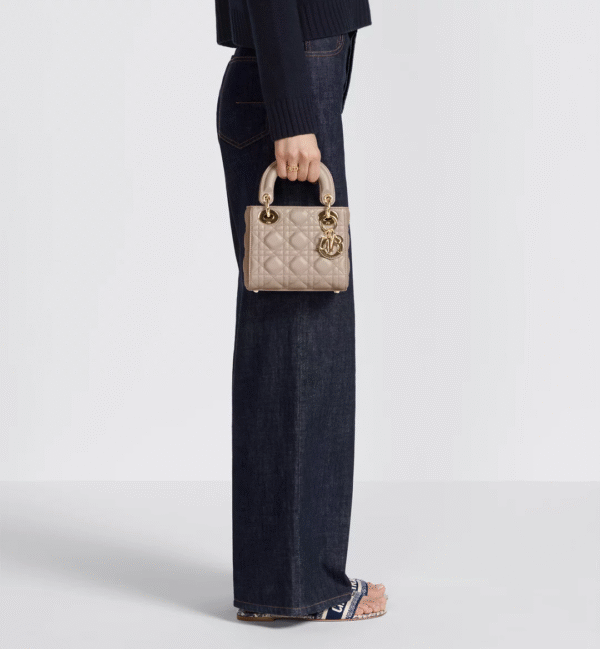 Mini Lady Dior Bag