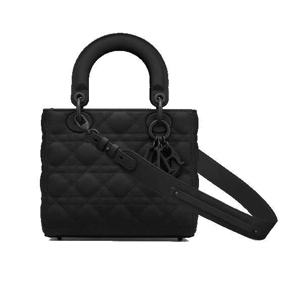 Small Lady Dior My ABCDior Bag